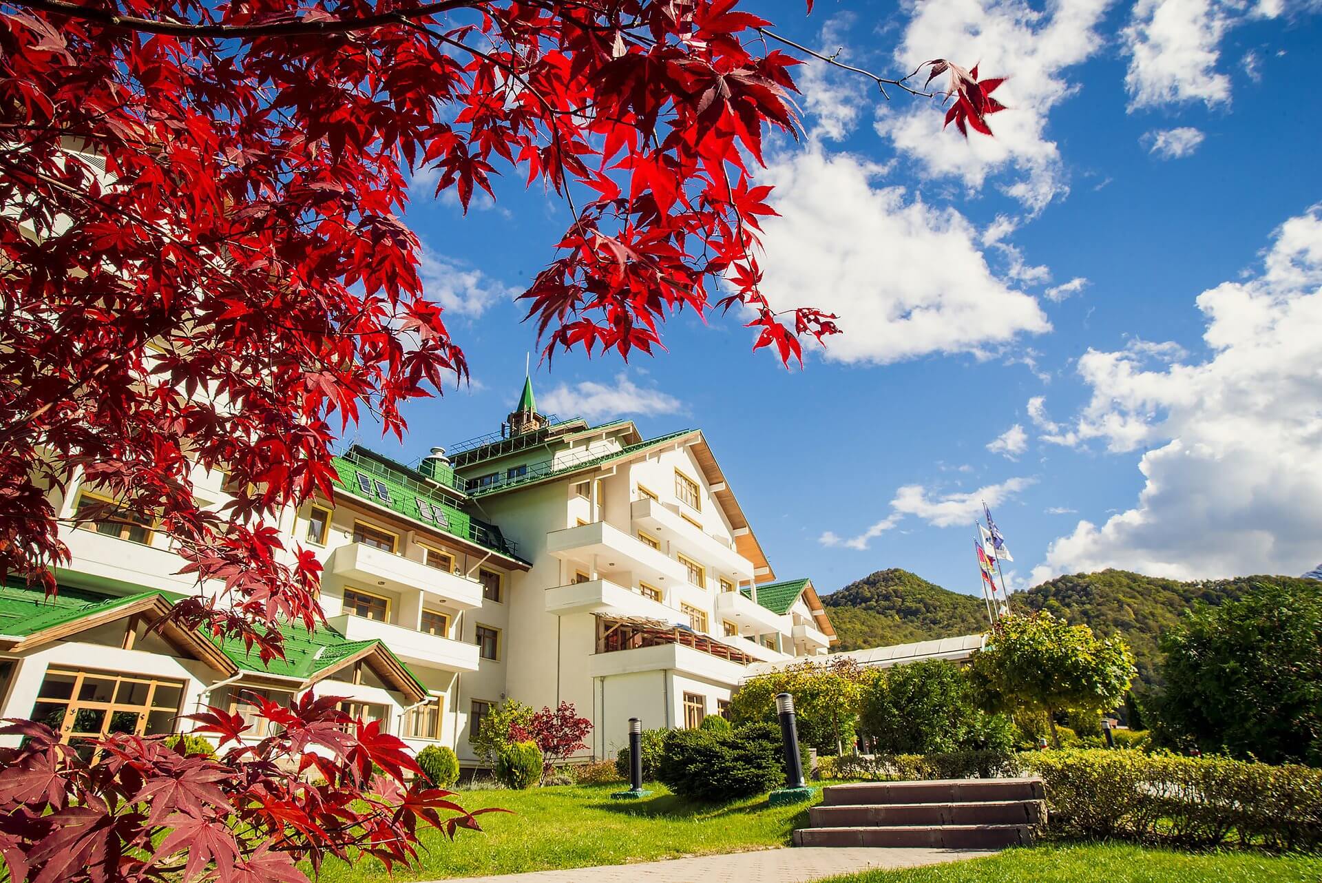 Пейзаж Сочи