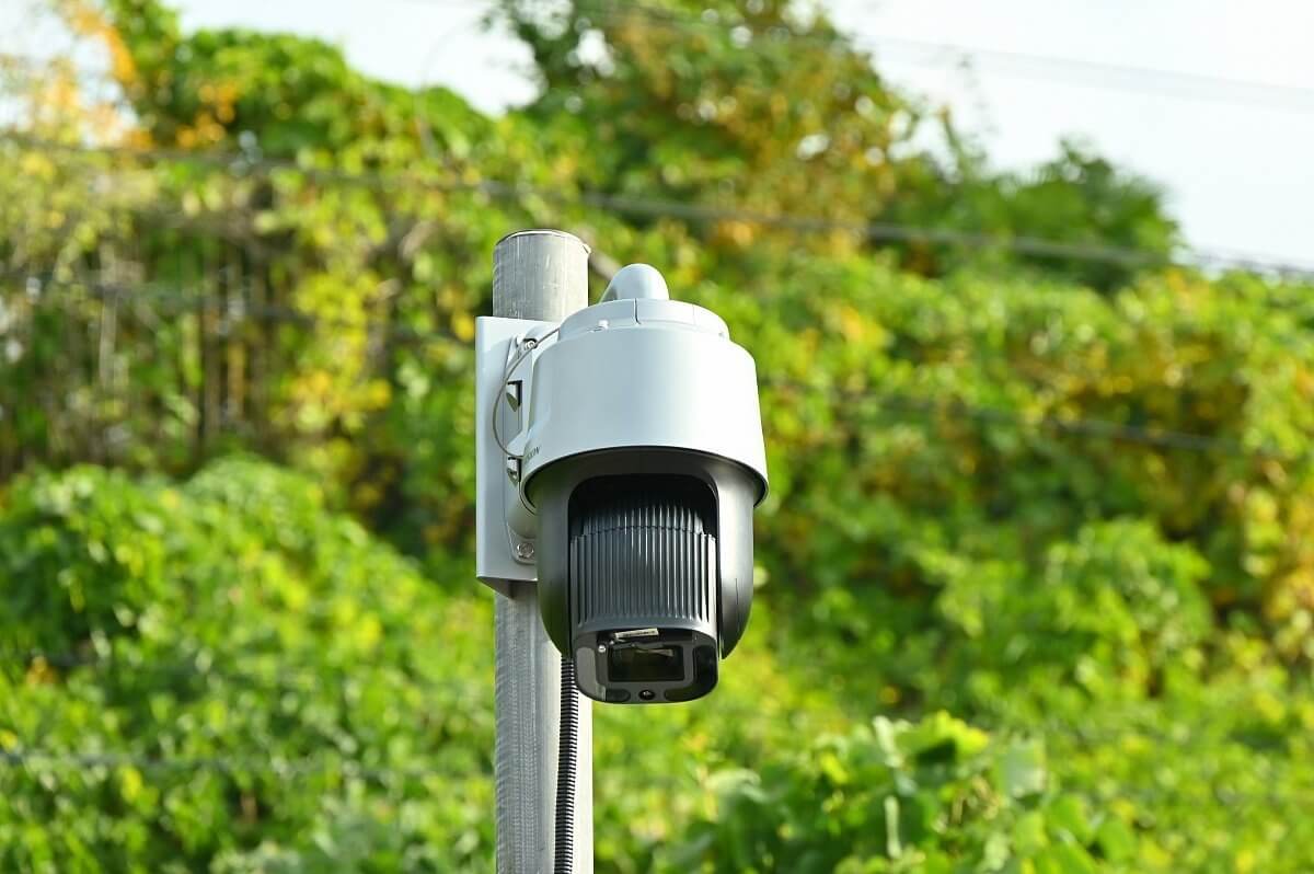 На фото камера видеонаблюдения